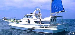 ヤマハ 漁船・業務艇